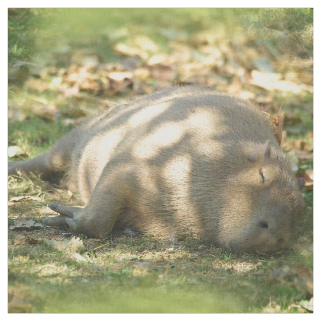 A Cute Capybara Dreams in the Summer Sun Fabric (Swatch)