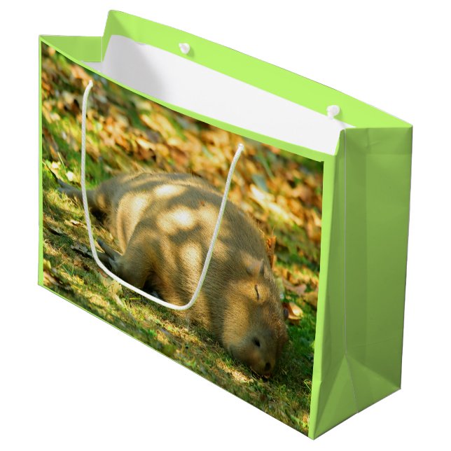 A Cute Capybara Dreams in the Summer Sun Large Gift Bag (Front Angled)