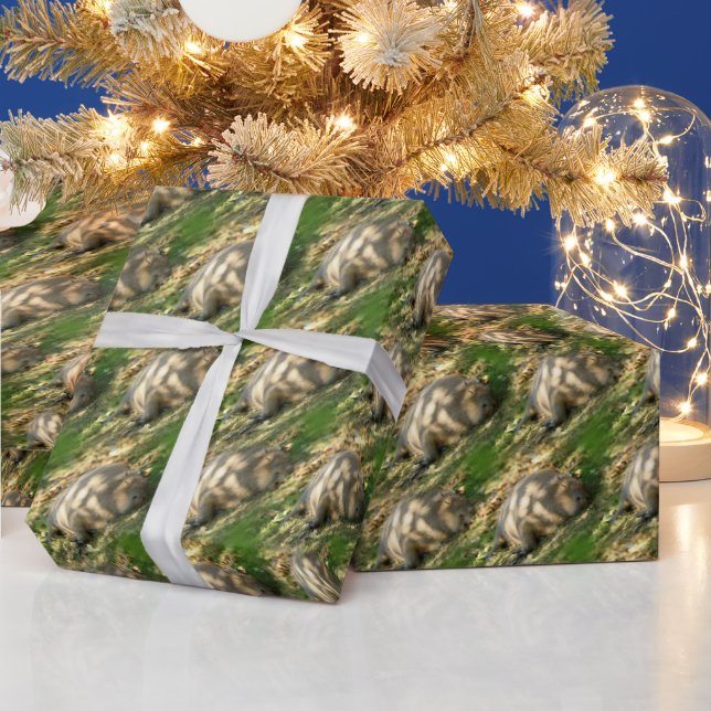 A Cute Capybara Dreams in the Summer Sun Wrapping Paper (Holidays)