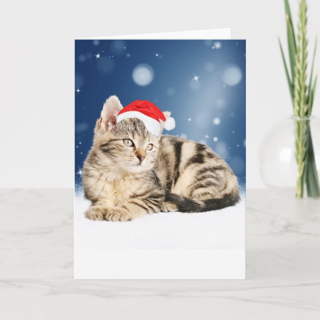 A Cute Cat wearing red Santa hat Christmas Snow Holiday Card (Front)