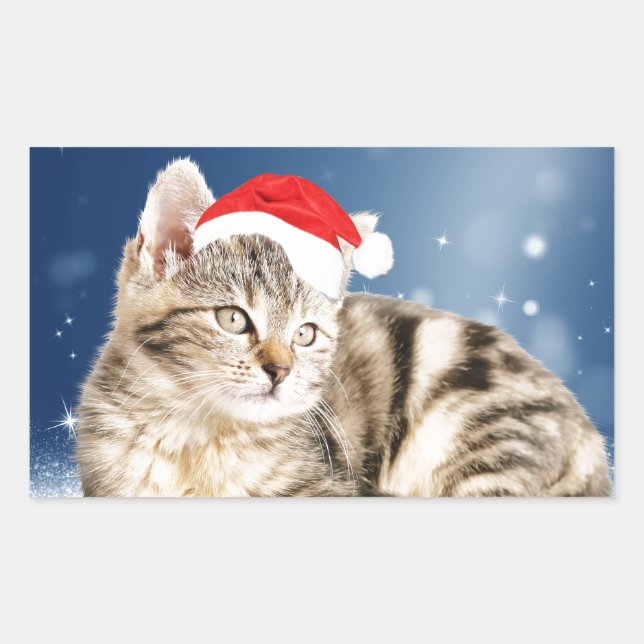 A Cute Cat wearing red Santa hat Christmas Snow Rectangular Sticker (Front)