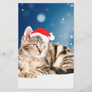 A Cute Cat wearing red Santa hat Christmas Snow Stationery
