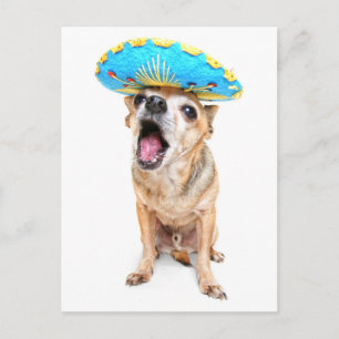 A Cute Chihuahua In A Halloween Costume Postcard