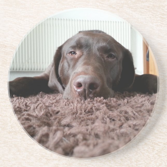 a cute chocolate lab puppy sleeping in a house coaster (Front)