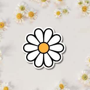 A cute daisy flower