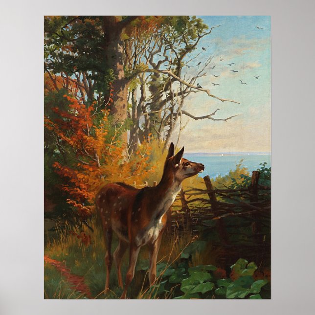 A Cute Deer In The Forest Poster (Front)