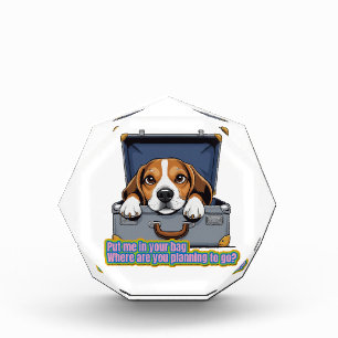 A cute dog hiding inside a bag -Love doggo- Photo Block