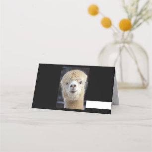 A cute fluffy face of an alpaca place card