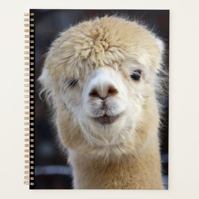 A cute fluffy face of an alpaca    planner (Front)