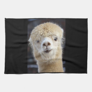 A cute fluffy face of an alpaca tea towel