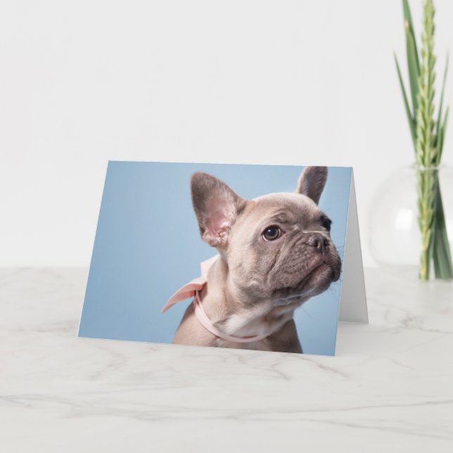 A Cute French Bulldog Card (Front)