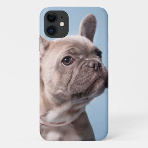 A Cute French Bulldog iPhone 11 Case