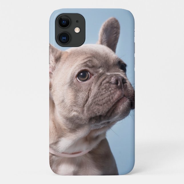 A Cute French Bulldog Case-Mate iPhone Case (Back)