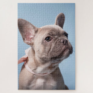 A Cute French Bulldog Jigsaw Puzzle