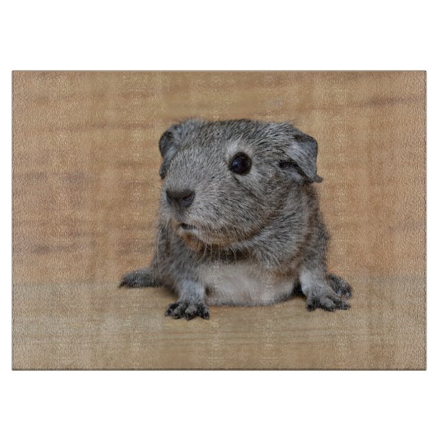 A Cute Grey Guinea Pig on Brown Wood Cutting Board (Front)