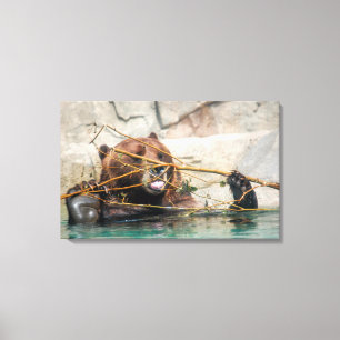 A Cute Grizzly Bear Playing in the Water Canvas Print