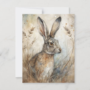 A Cute Hare in Forest Postcard