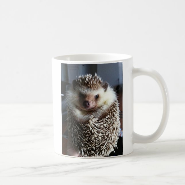 A cute hedgehog coffee mug (Right)