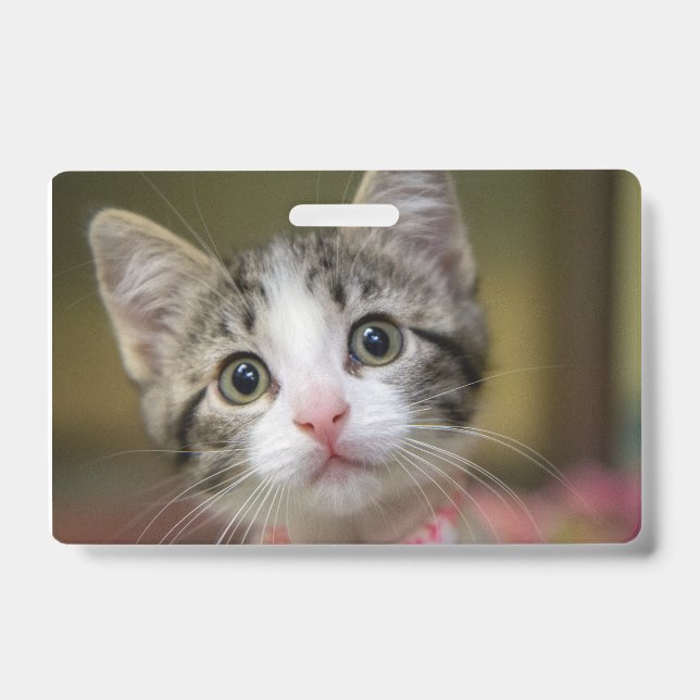 A cute kitten with green eyes ID badge (Front)