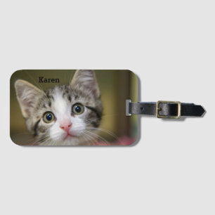 A cute kitten with green eyes luggage tag