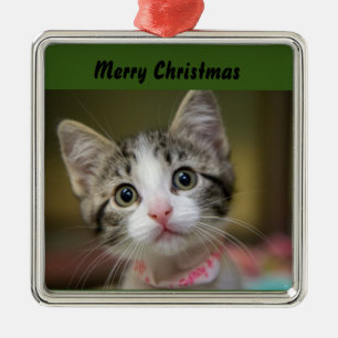 A cute kitten with green eyes metal tree decoration