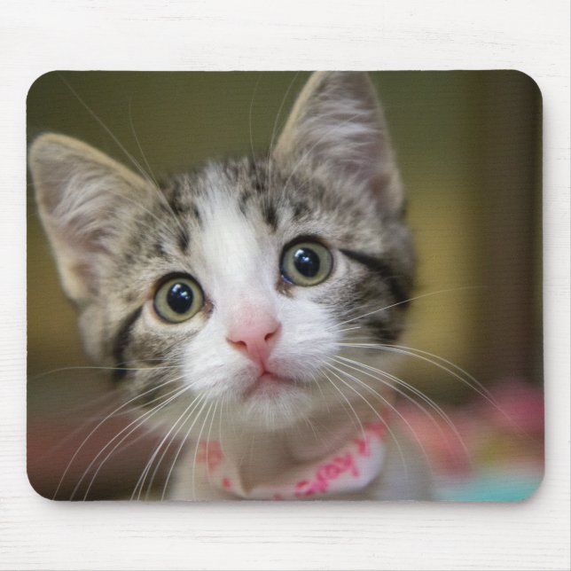 A cute kitten with green eyes mouse mat (Front)