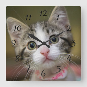 A cute kitten with green eyes square wall clock