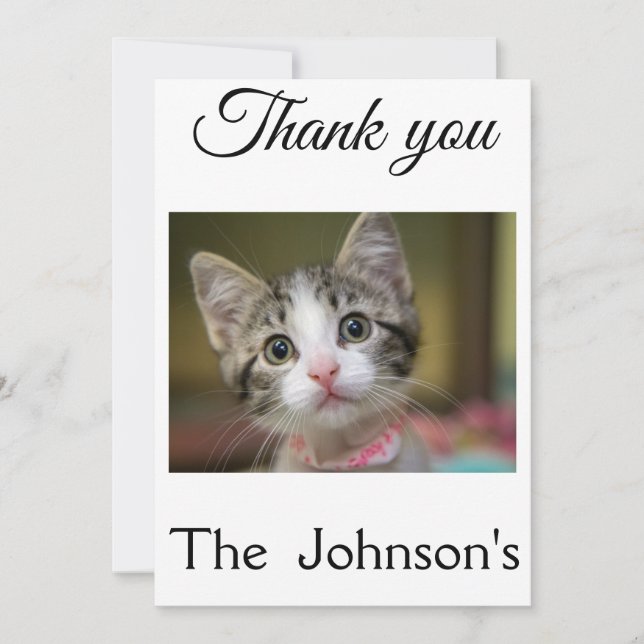 A cute kitten with green eyes thank you card (Front)