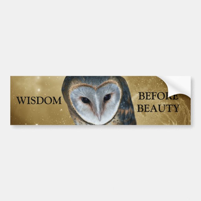 A Cute little Barn Owl Fantasy Bumper Sticker (Front)