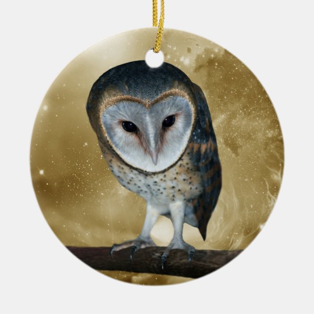 A Cute little Barn Owl Fantasy Ceramic Tree Decoration (Front)