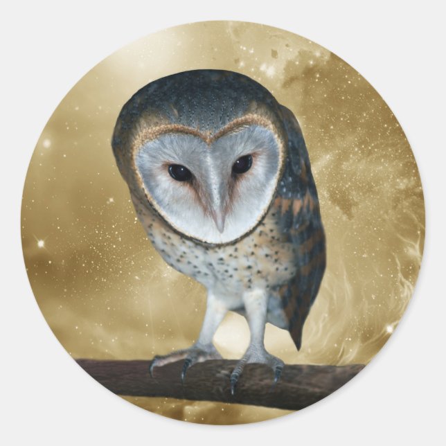 A Cute little Barn Owl Fantasy Classic Round Sticker (Front)