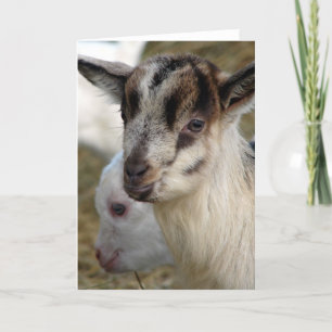 A Cute Little Billy Kid Card