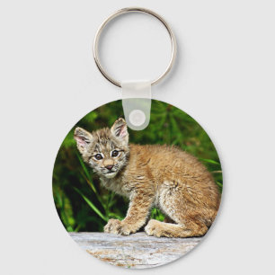 A Cute Little Canadian Lynx Kitten Key Ring