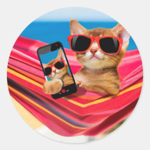 A cute little cat was lying in a hammock classic round sticker