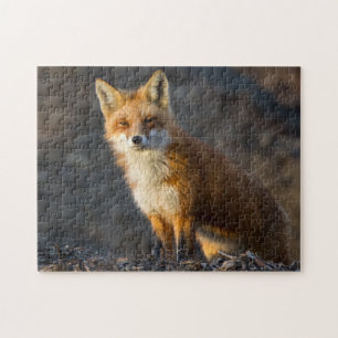 A Cute Little Fox Jigsaw Puzzle