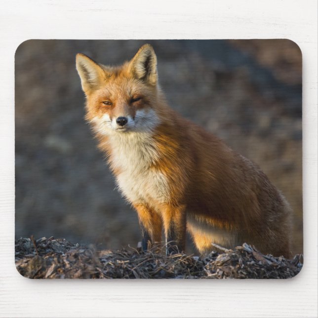 A Cute Little Fox Mouse Mat (Front)