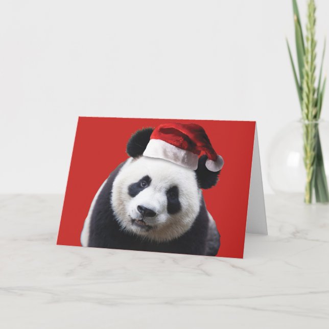 A Cute Panda Bear wearing Santa Claus Hat Holiday Card (Front)
