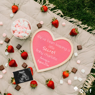 A cute picnic digital  pregnancy announcement 