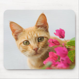 A cute red tabby kitten is watching you. mouse mat