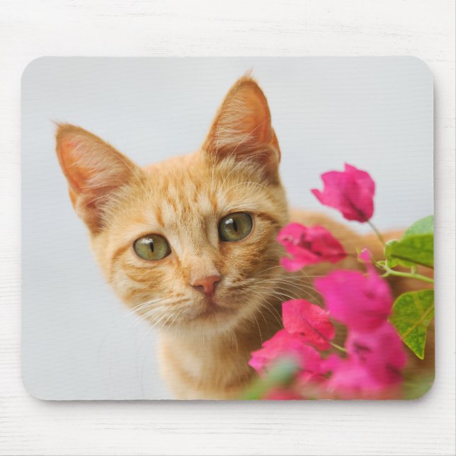 A cute red tabby kitten is watching you. mouse mat (Front)