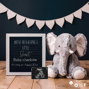  A cute simple digital pregnancy announcement 