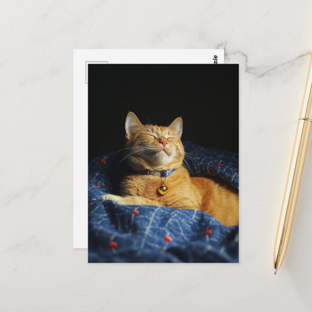 A Cute Sleepy Ginger Kitty  Postcard (Front/Back In Situ)