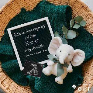A cute social media pregnancy announcement 