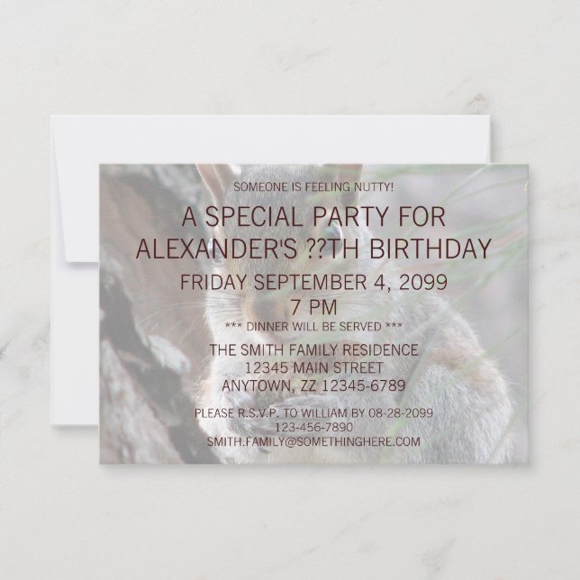 A Cute Squirrel With Peanut Birthday Party Funny Invitation (Front)
