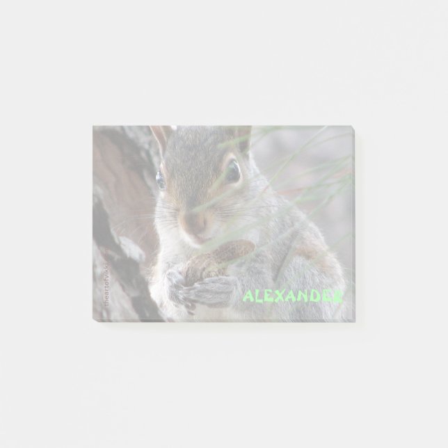 A Cute Squirrel With Peanut Personalised Post-it Notes (Front)