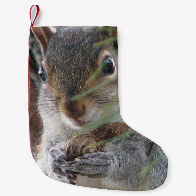 A Cute Squirrel With Peanut Woodland Nature Rodent Small Christmas Stocking (Front)