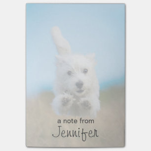 A Cute West Highland Terrier Puppy Running Post-it Notes