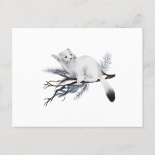A cute winter weasel perched on a branch postcard