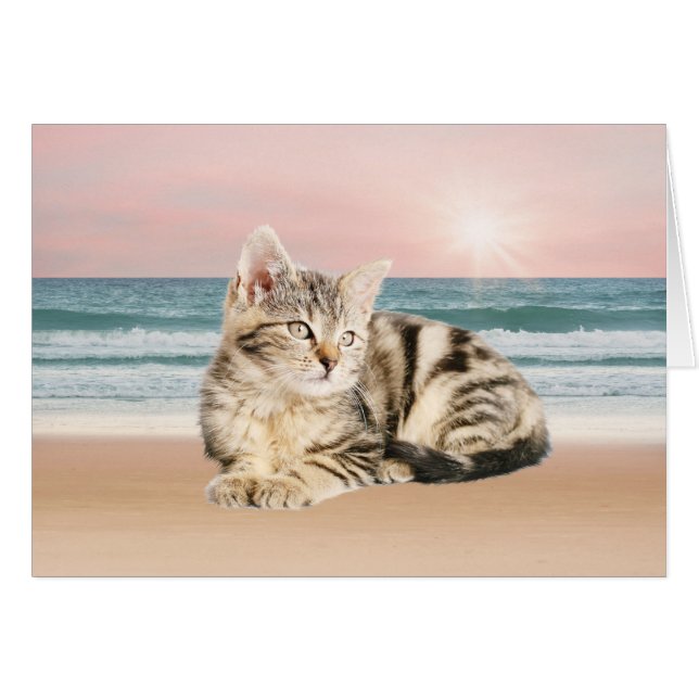 A Cuter Striped Cat Sitting on Beach with sunset (Front Horizontal)