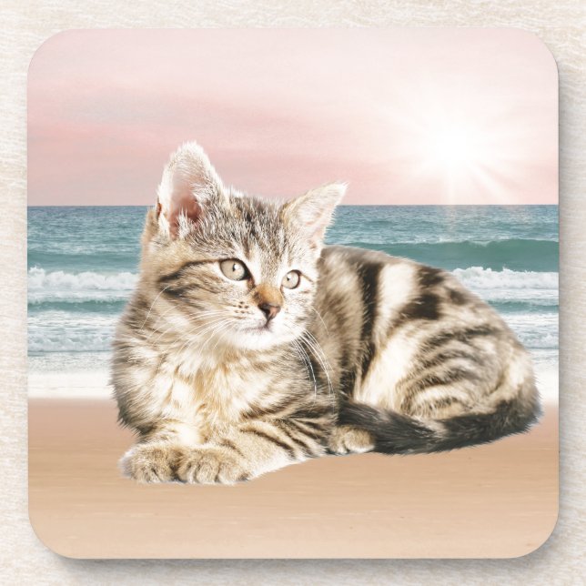 A Cuter Striped Cat Sitting on Beach with sunset Coaster (Front)